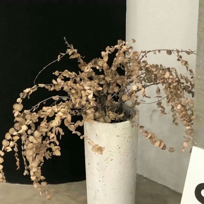 二次元兽设设计技巧福瑞群